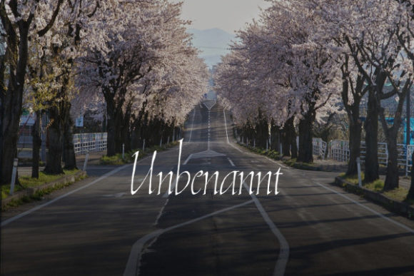 Discover Unbenannt: The Elegant Handwritten Font for Creative Projects